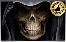 *NEW* HD Skulls Wallpapers New Tab Theme small promo image