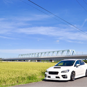 WRX STI VAB