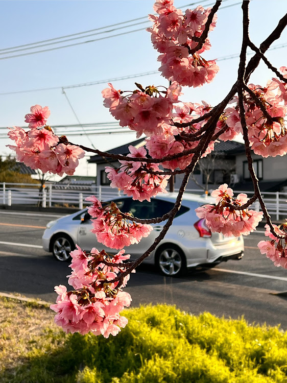 の投稿画像1枚目