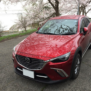 CX-3 DKEFW