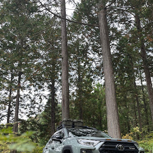 RAV4 MXAA54