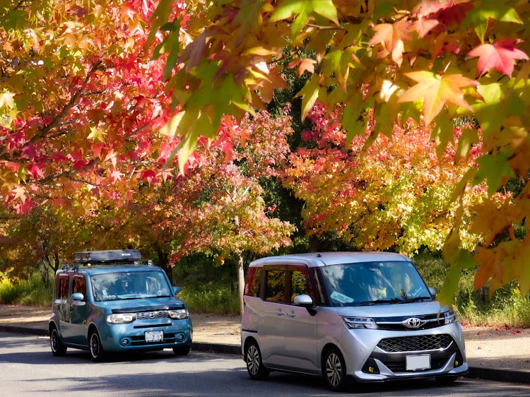 キューブのいつもイイネ&コメントありがとうございます🙇‍♂️・休日のひとコマ・紅葉と愛車・紅葉・フォロワーさんとデート♬に関するカスタム事例の投稿画像8枚目
