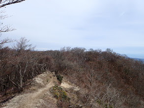 山頂へ