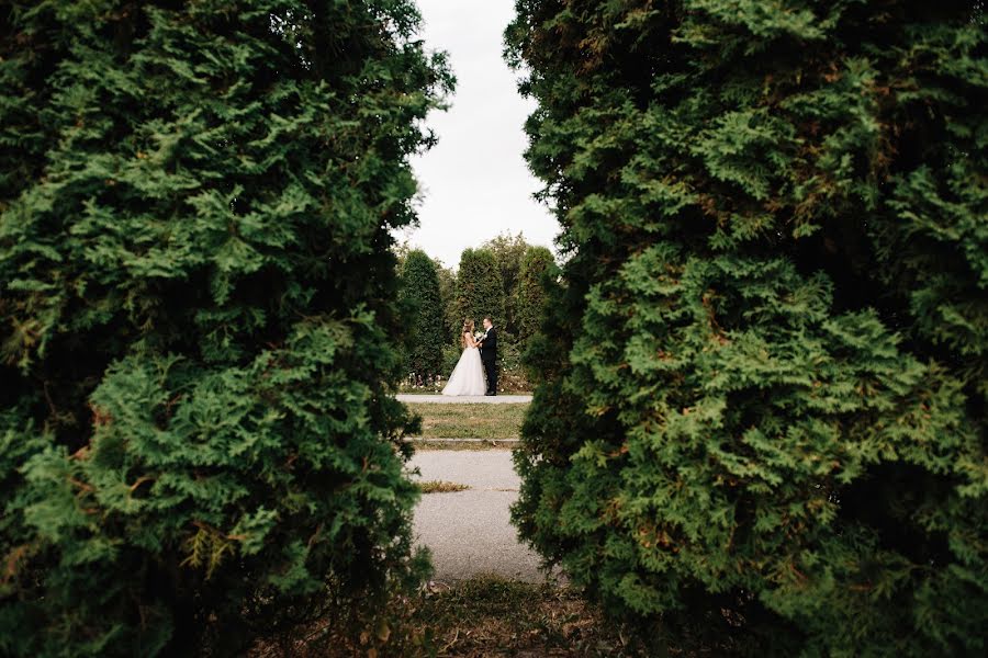 Fotógrafo de bodas Sergey Kancirenko (ksphoto). Foto del 13 de junio 2019