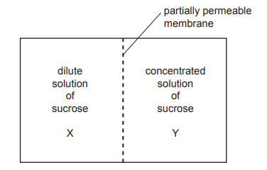 Movement of Water