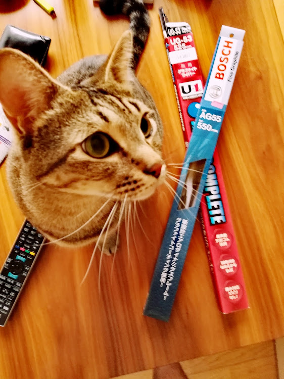 虎鉄さんが投稿した猫・お買い物・工具・アストロプロダクツに関するカスタム事例の投稿画像2枚目