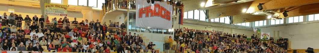 Frogs Cheer Cup Banner