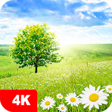 Nature Wallpapers 4K for PC / Mac / Windows  - Free Download -  