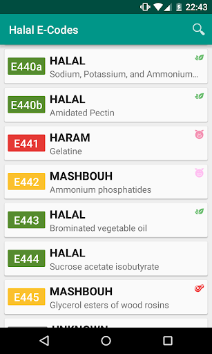 Halal E-Codes