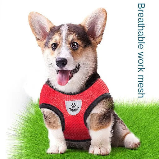 Pet Cat Harness Adjustable Mesh Vest Walking Lead Leash Puppy Polyester Mesh Breathable Kitten Accessories For Small Med