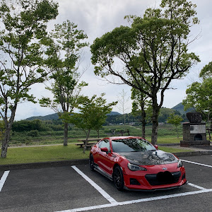 BRZ ZC6