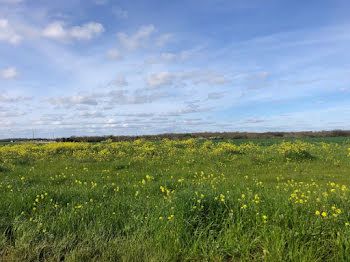 terrain à Bourgneuf (17)