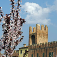 E' arrivata la primavera di 