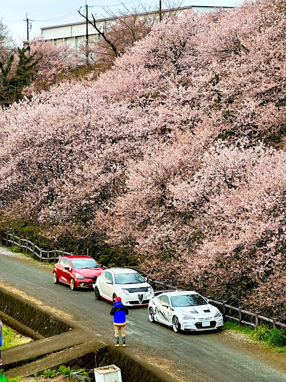 の投稿画像4枚目