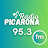 Radio Picarona icon