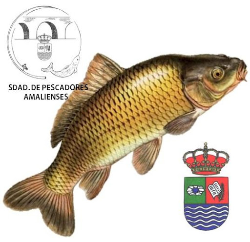 SDAD. PESCADORES AMALIENSES