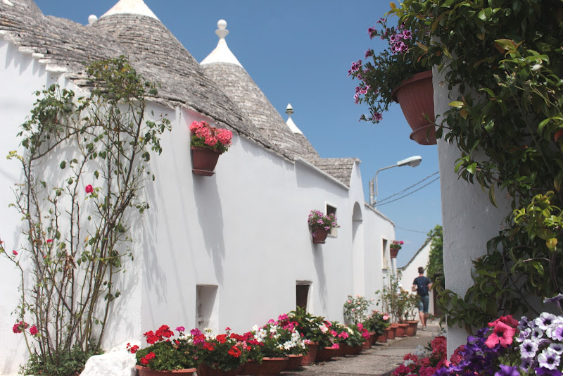 Trulli fioriti di Simone