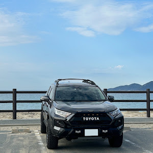 RAV4 MXAA54