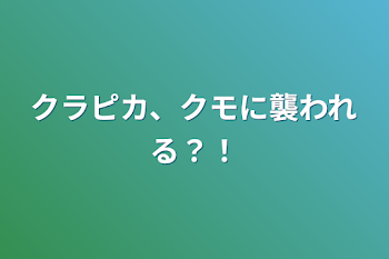 クラピカ、クモに襲われる？！