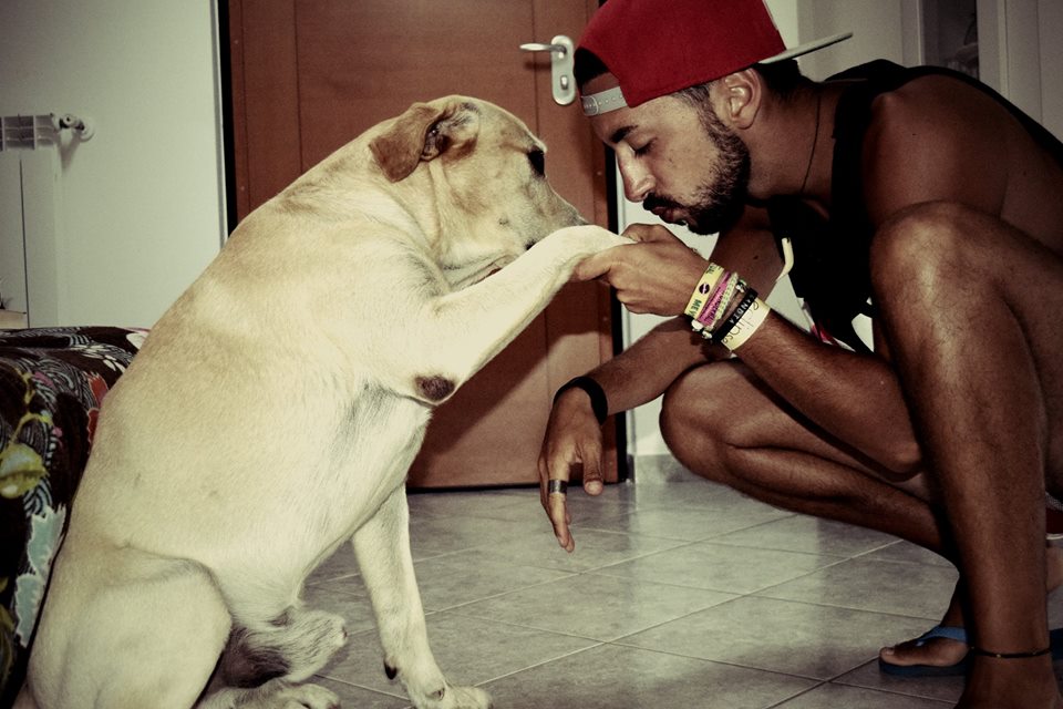 Il migliore amico del cane di antoniorenzetti