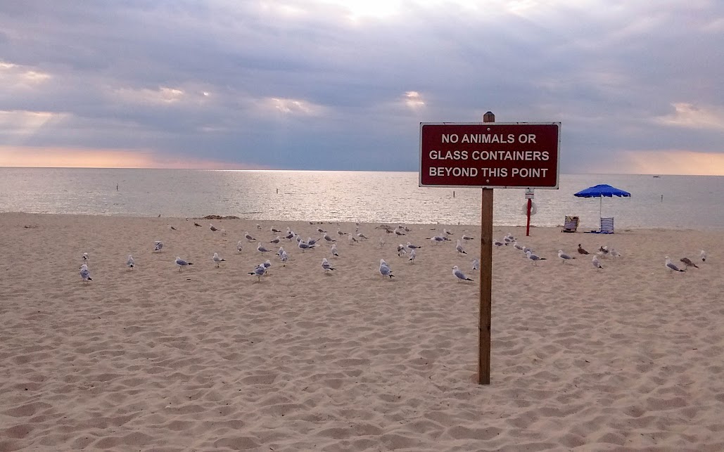 Половина Великого Лупа на яхте Мамушка. (Великие Озера и Миссисипи)