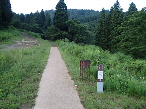 ここから右の沢沿いに