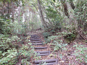 三里山への登りに