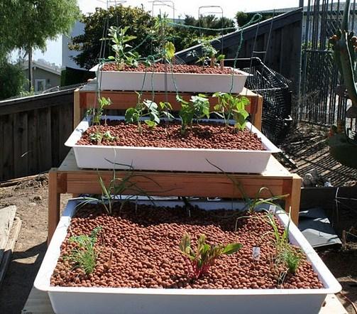 Aquaponics Design Ideas