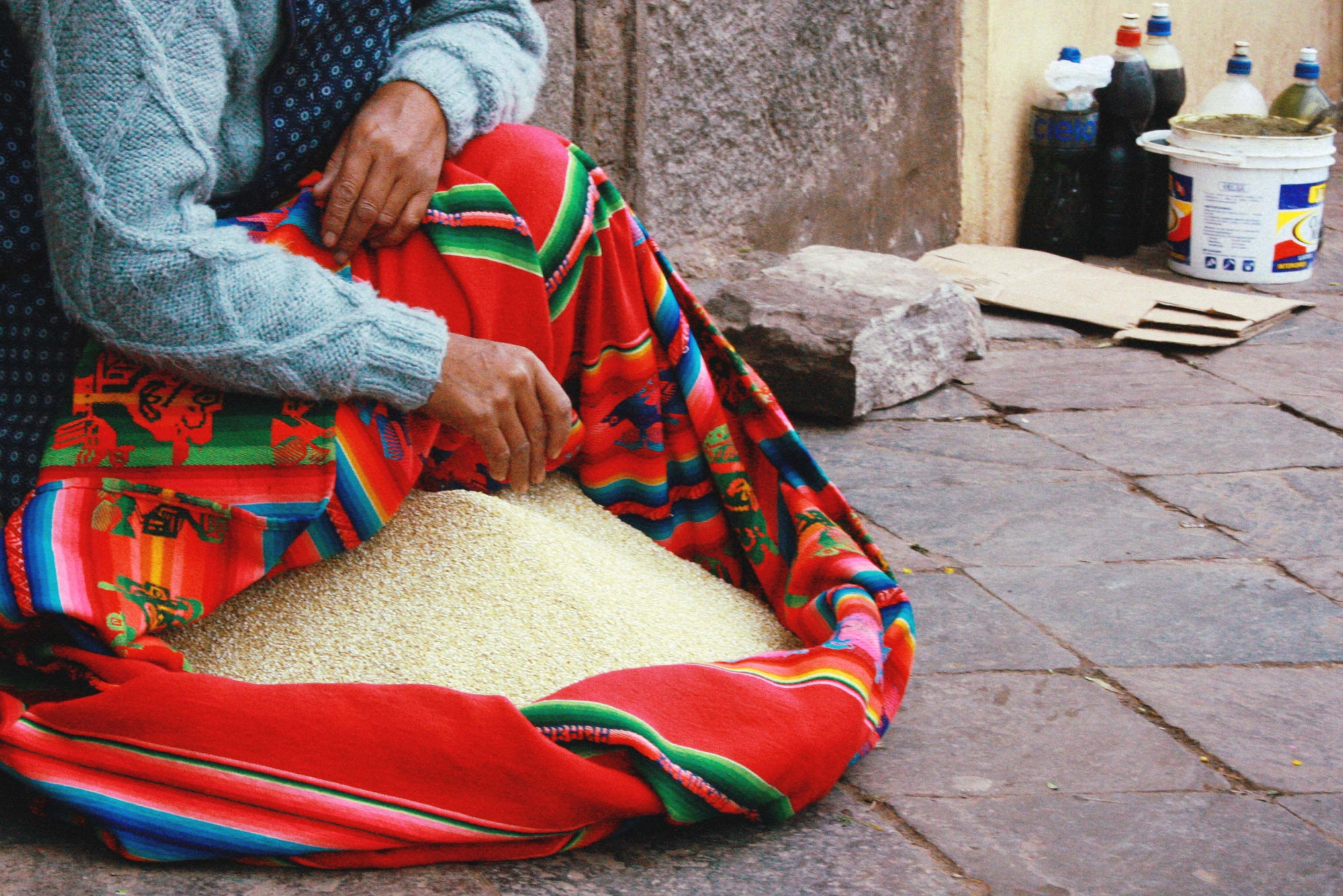 Quinoa di giobbo