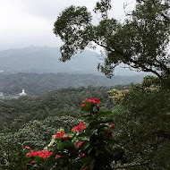 鳶山景觀咖啡