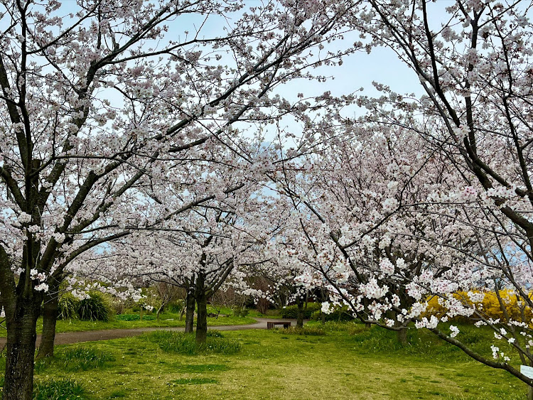 の投稿画像17枚目