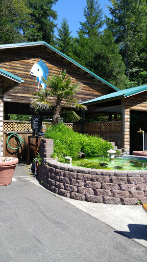 Koi Pond & Fountain 