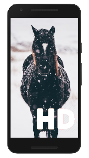 ?Horse Wallpapers HD?