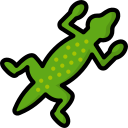 Digital Geckos chrome extension