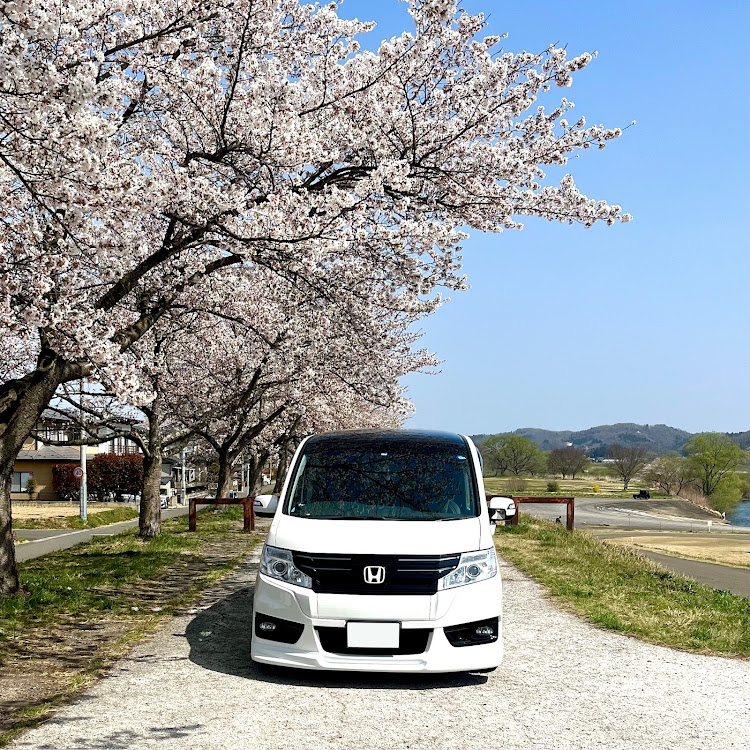 ステップワゴンスパーダのサクラと愛車・釣りに関するカスタム事例の投稿画像3枚目