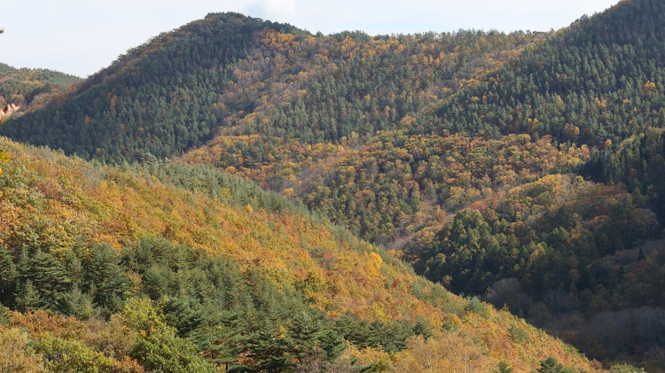 の投稿画像4枚目