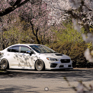 WRX S4 VAG