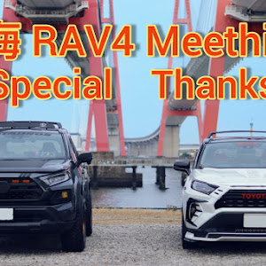 RAV4 MXAA54