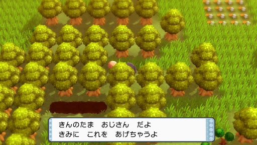 ポケモンダイパリメイク きんのたまの入手方法と効果 sp 神ゲー攻略