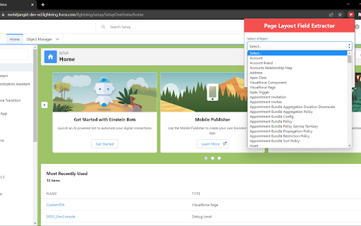 Page Layout Field Extractor - Salesforce