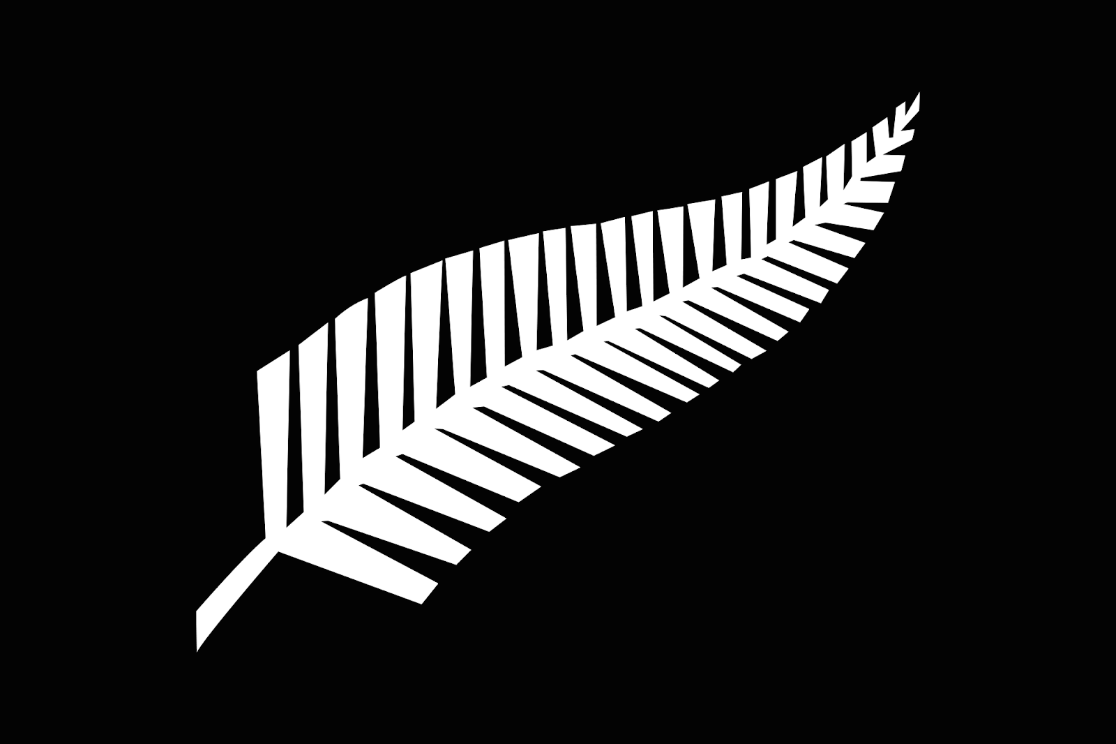 Silver fern flag