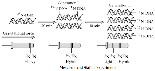 Solution Image