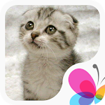 Cover Image of Download Cute Cat Wallpaper Ringtone HD 1.1 APK