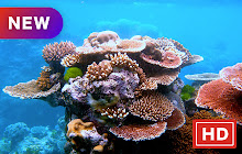 Coral reef pop HD wallpaper new tab theme small promo image