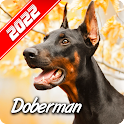 Doberman Wallpaper icon