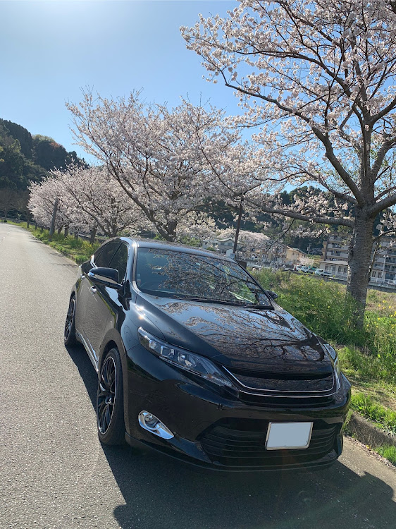ハリアーの洗車・ドライブ・桜と愛車・缶つまプレミアム・コロナ終息祈願🙏に関するカスタム事例の投稿画像1枚目