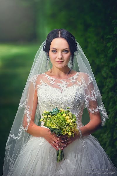 Vestuvių fotografas Aleksandr Kompaniec (fotorama). Nuotrauka 2015 rugpjūčio 2