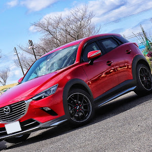 CX-3 DK5FW