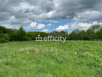 terrain à Saint-Piat (28)