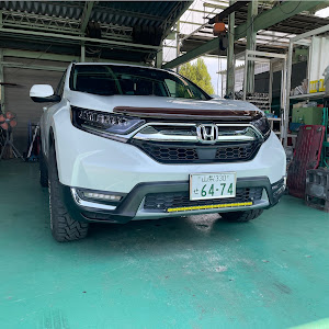 CR-V RW1